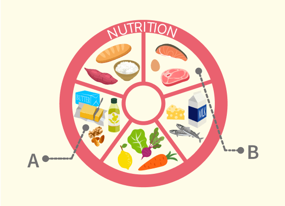 栄養指導サポート